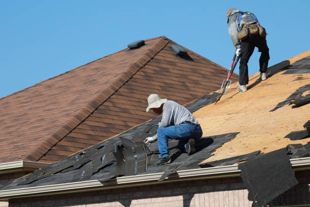 Best Chimney Flashing Repair  in Homosassa, FL