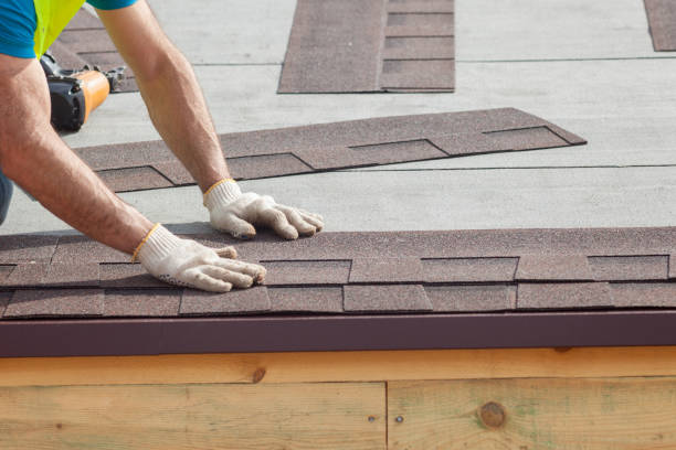 Best Metal Roofing Installation  in Homosassa, FL