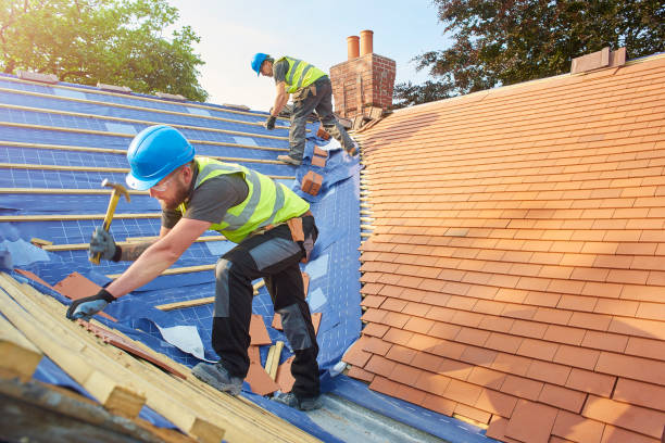 Best Emergency Roof Repair Services  in Homosassa, FL